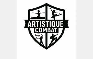 Arts du cirque pour les 4emes et 3emes